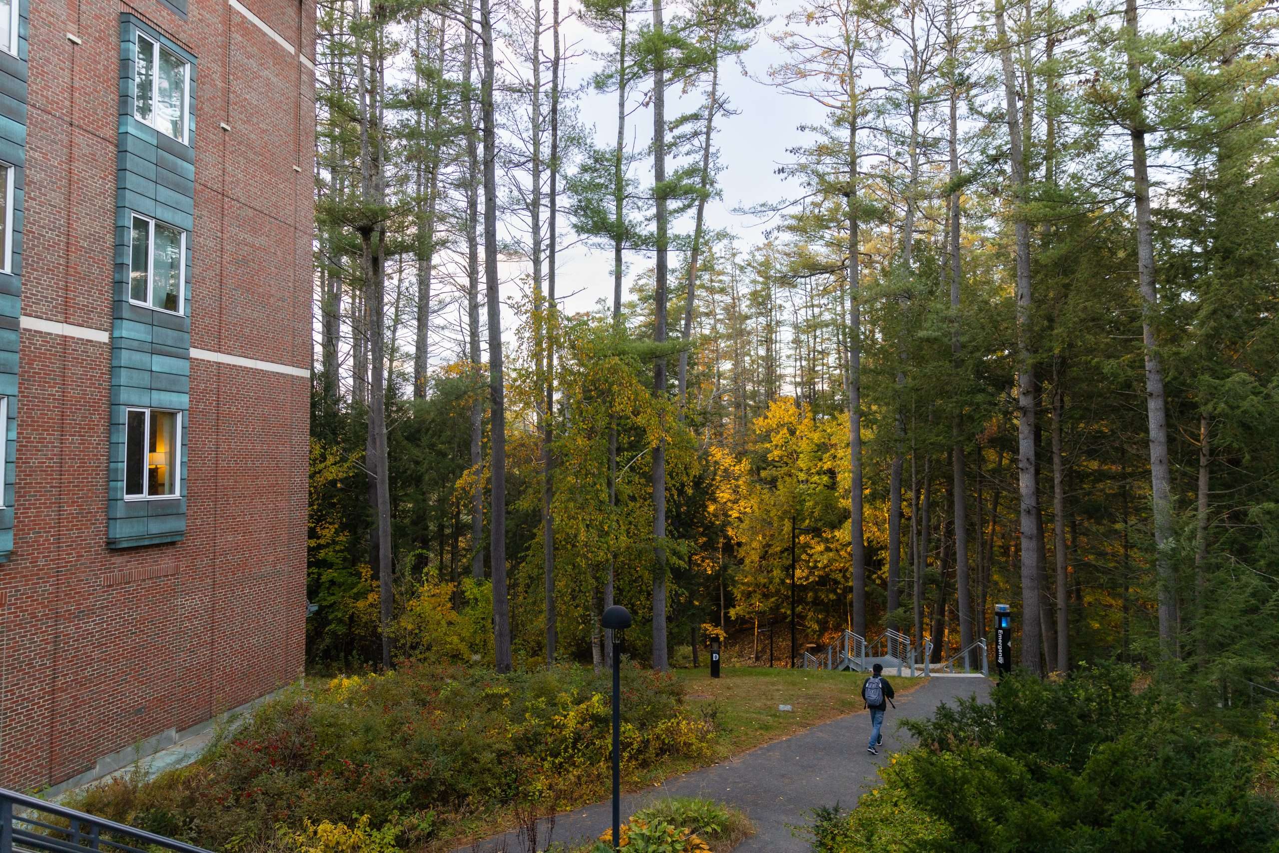 A student sporting a backpack walks down a path that leads to the Connecticut River at Dartmouth College.