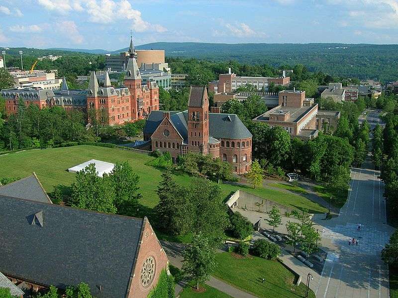 This is an aerial shot of a college campus in the forest.