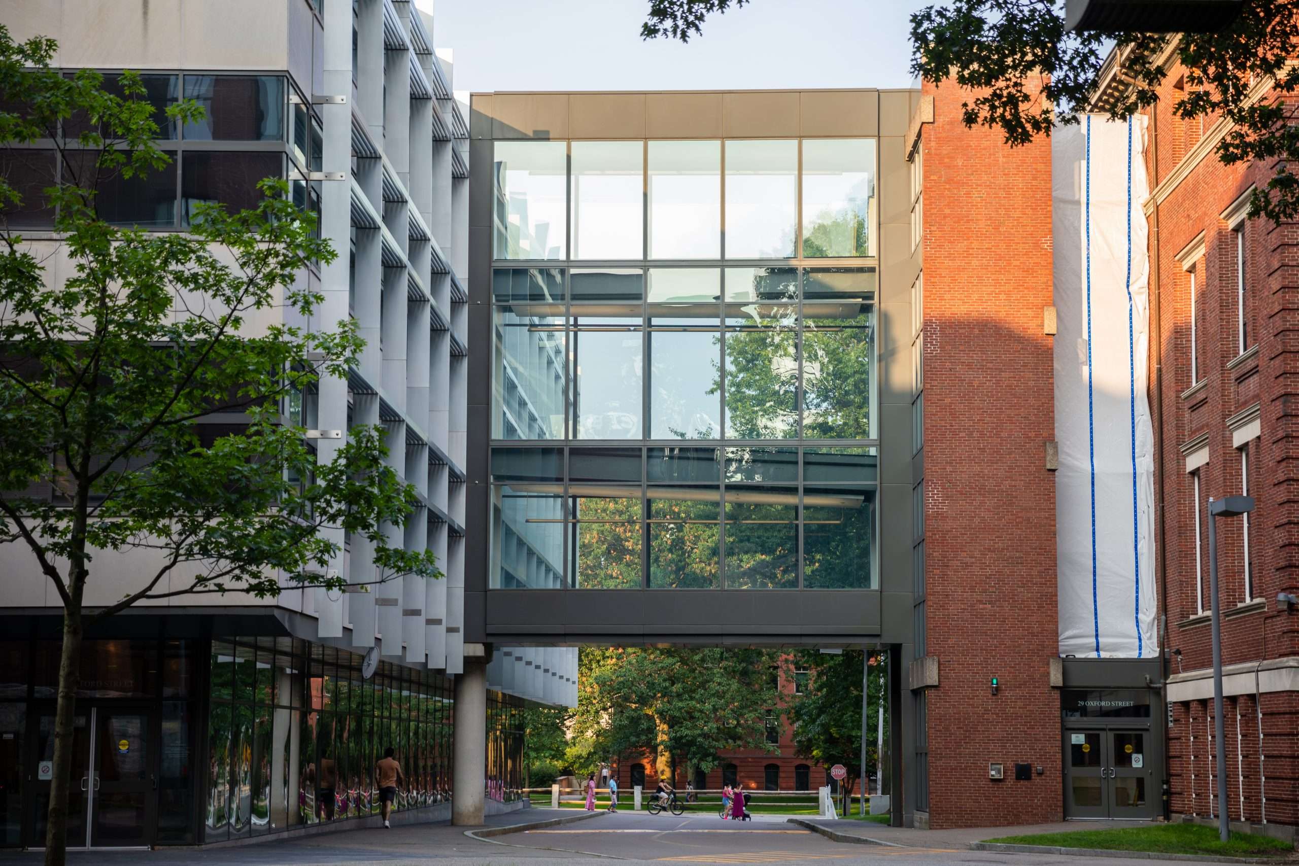 A glass bridge connects two buildings at Harvard University.