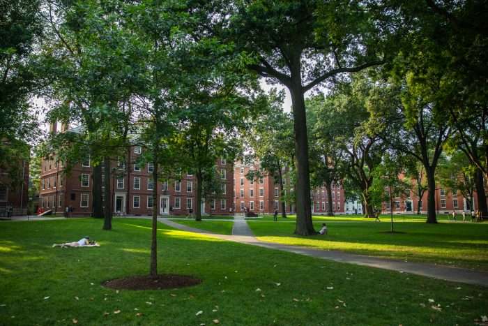 What English Teachers Get Wrong About Writing College Essays